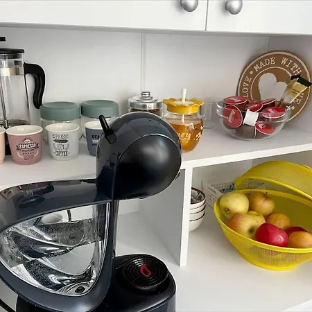 Modern In Area * ティミショアラ