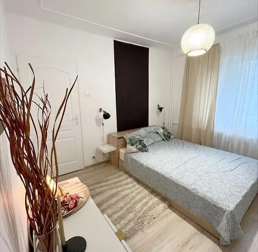 Modern In Area Timişoara