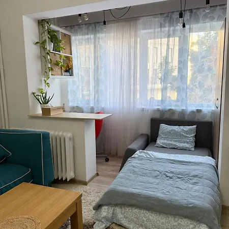 Modern In Area Апартаменты Тимишоара