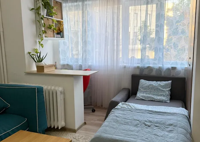 Modern In Area Apartmán Temešvár